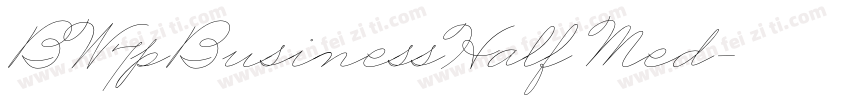 BW7pBusinessHalf Med字体转换